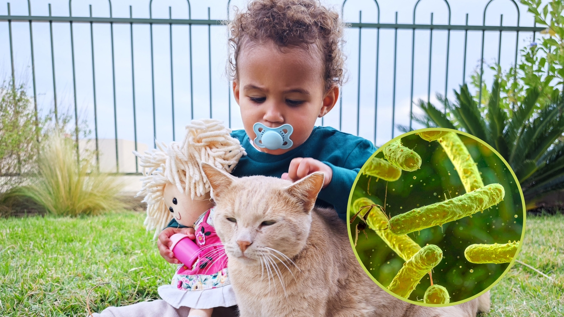 Bebé jugando de forma segura cerca de una mascota